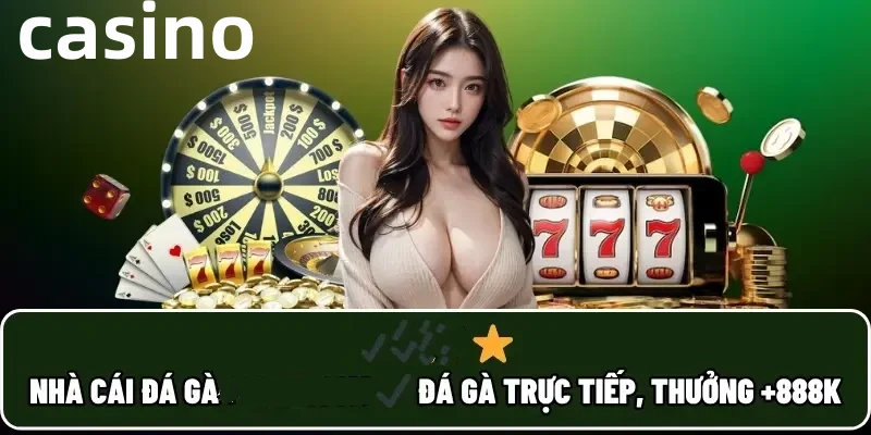 dg66